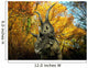 Diabloceratops Wanders Cretaceous Forest Wall Decal