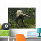 Dilophosaurus amidst Ginkgo Trees Wall Decal