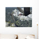 Flock Dorygnathus Wall Decal