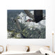 Flock Dorygnathus Wall Decal