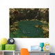 Pair Elasmosaurus Engage Swimming Wall Decal