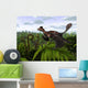 Feathered Microraptor Perched atop Wall Decal