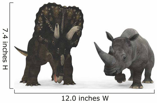 Nedoceratops Compared to Adult Wall Decal