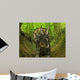 Nedoceratops Wanders Cretaceous Forest Wall Decal