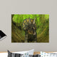 Nedoceratops Wanders Cretaceous Forest Wall Decal