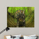 Nedoceratops Wanders Cretaceous Forest Wall Decal