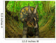 Nedoceratops Wanders Cretaceous Forest Wall Decal