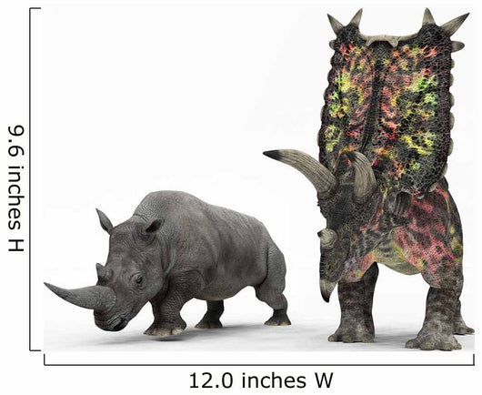 Adult Pentaceratops Compared to Wall Decal