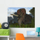 Male Torosaurus Drinks from Wall Decal