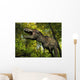 Tyrannosaurus Wanders Cretaceous Forest Wall Decal
