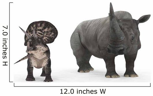 Adult Zuniceratops Compared to Wall Decal