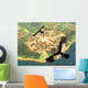 Pair Andean Condors Fly Wall Decal