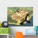 Pair Andean Condors Fly Wall Decal