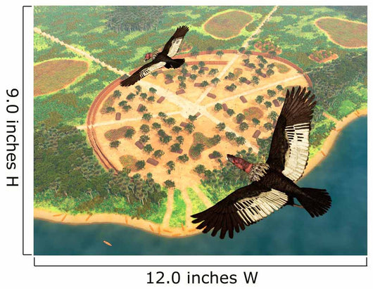 Pair Andean Condors Fly Wall Decal