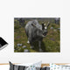 Brontotherium Leaves His Forest Wall Decal