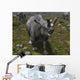 Brontotherium Leaves His Forest Wall Decal