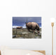 Pair Male Elasmotherium Confront Wall Decal