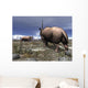Pair Male Elasmotherium Confront Wall Decal