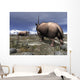 Pair Male Elasmotherium Confront Wall Decal