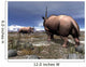 Pair Male Elasmotherium Confront Wall Decal