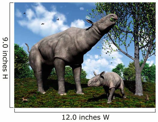 Paraceratherium Mother Grazes Leaves Wall Decal