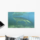 Late Devonian Period Ichthyostega Wall Decal