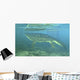 Late Devonian Period Ichthyostega Wall Decal