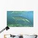 Late Devonian Period Ichthyostega Wall Decal