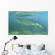 Late Devonian Period Ichthyostega Wall Decal