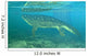 Late Devonian Period Ichthyostega Wall Decal