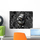 Astronaut Piloting Manned Maneuvering Wall Decal