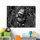 Astronaut Piloting Manned Maneuvering Wall Decal