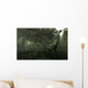 Antarctosaurus Stalked Abelisaurus Prehistoric Wall Decal