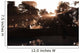 Late Devonian Sun Sets Wall Decal