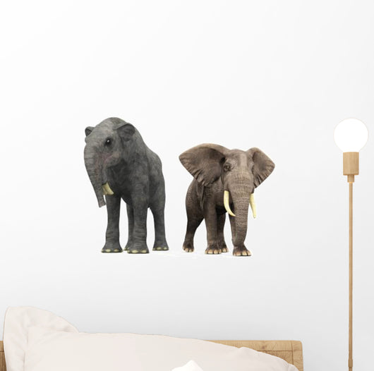 Adult Deinotherium Compared to Wall Decal