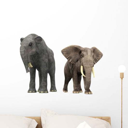 Adult Deinotherium Compared to Wall Decal