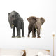 Adult Deinotherium Compared to Wall Decal
