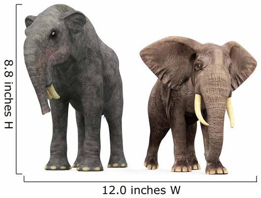 Adult Deinotherium Compared to Wall Decal