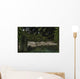 Dipterus Fish Emerge from Wall Decal