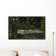 Dipterus Fish Emerge from Wall Decal