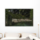Dipterus Fish Emerge from Wall Decal