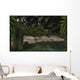 Dipterus Fish Emerge from Wall Decal