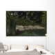 Dipterus Fish Emerge from Wall Decal