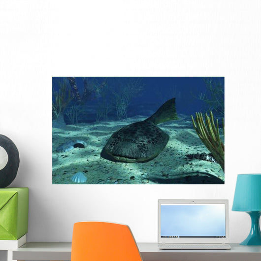 Drepanaspis Bottom Shallow Devonian Wall Decal