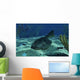 Drepanaspis Bottom Shallow Devonian Wall Decal