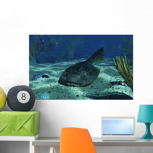 Drepanaspis Bottom Shallow Devonian Wall Decal