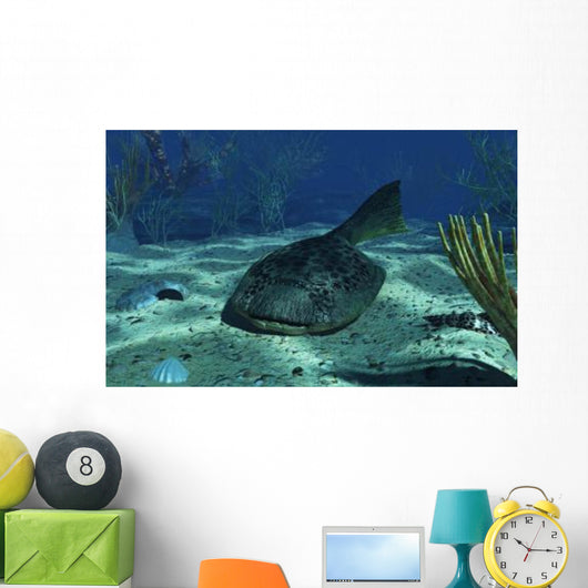 Drepanaspis Bottom Shallow Devonian Wall Decal