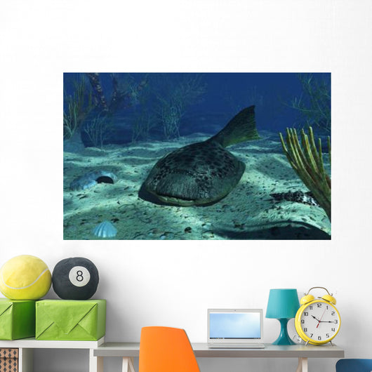 Drepanaspis Bottom Shallow Devonian Wall Decal