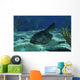 Drepanaspis Bottom Shallow Devonian Wall Decal
