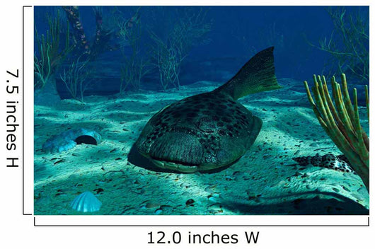 Drepanaspis Bottom Shallow Devonian Wall Decal